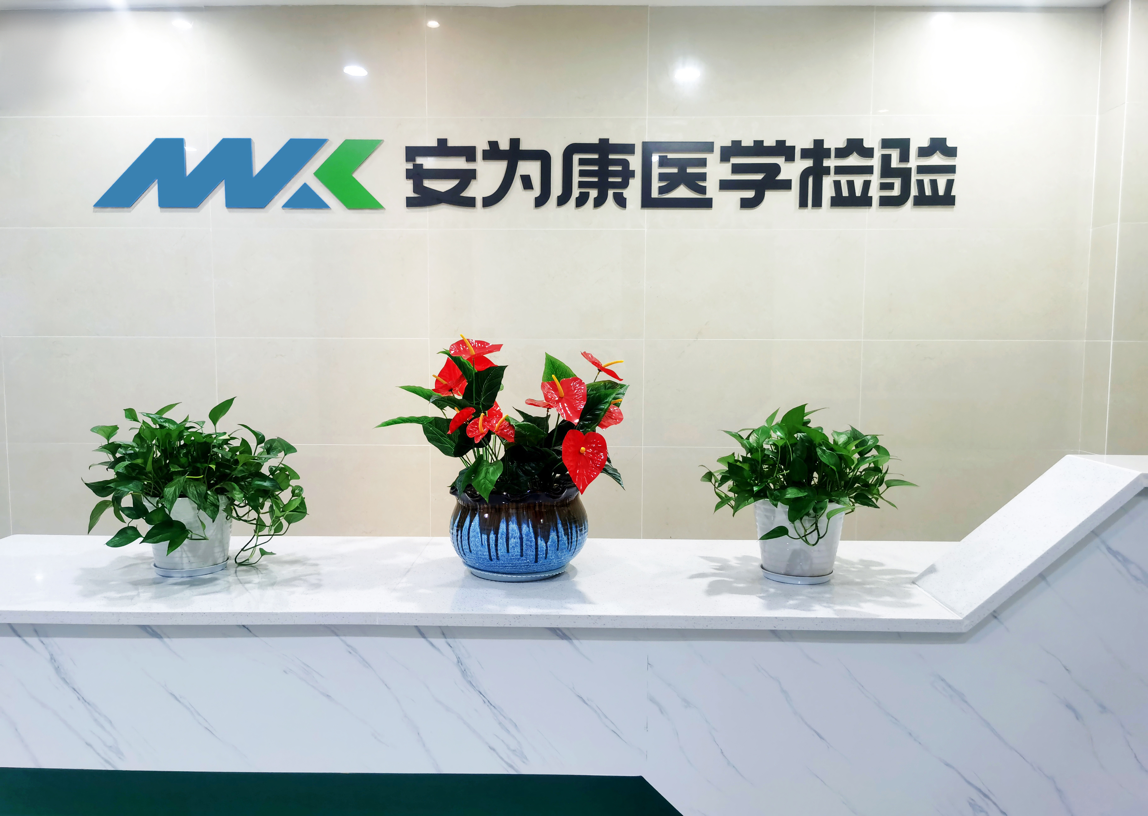 新澳门资料网