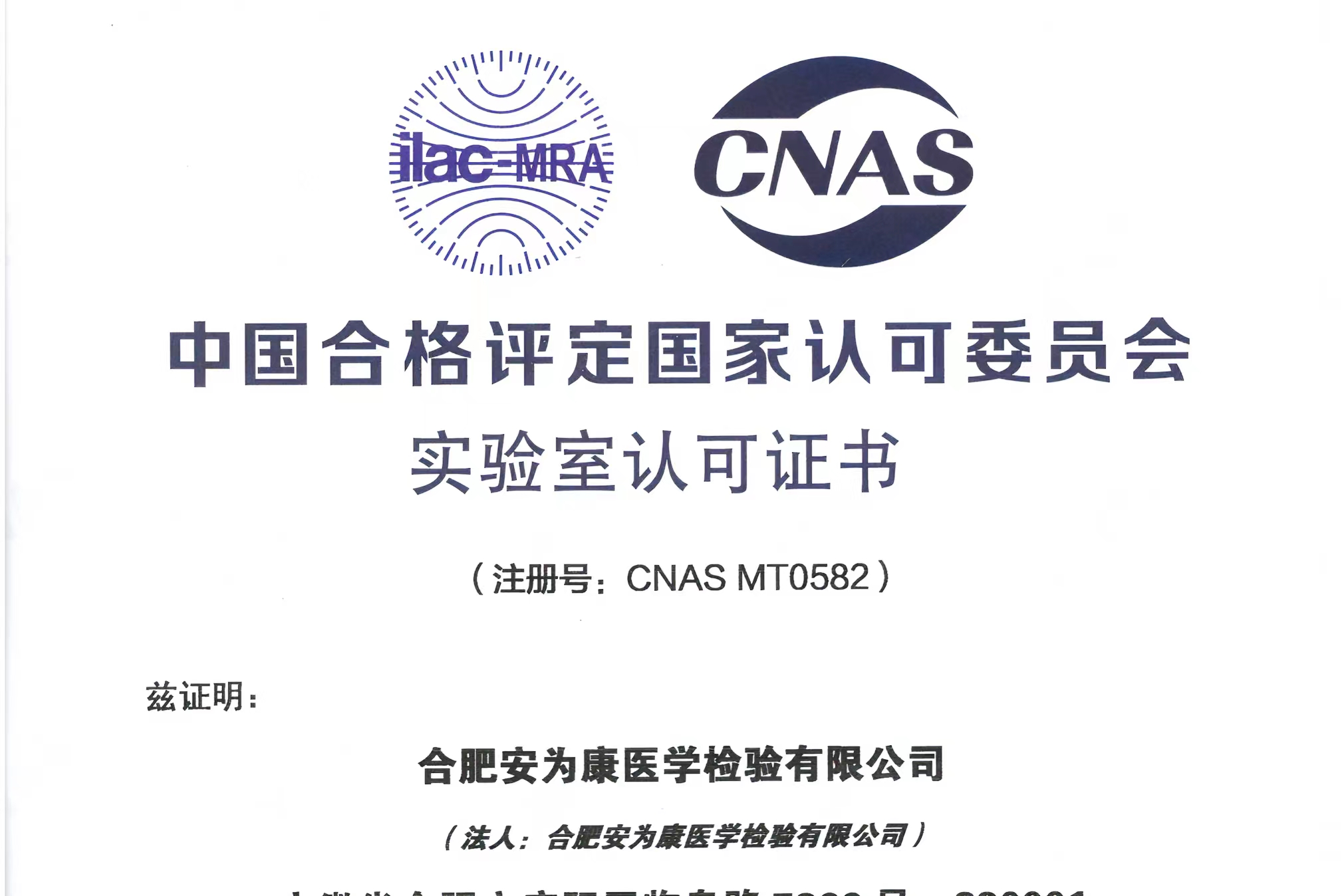 新澳门资料网